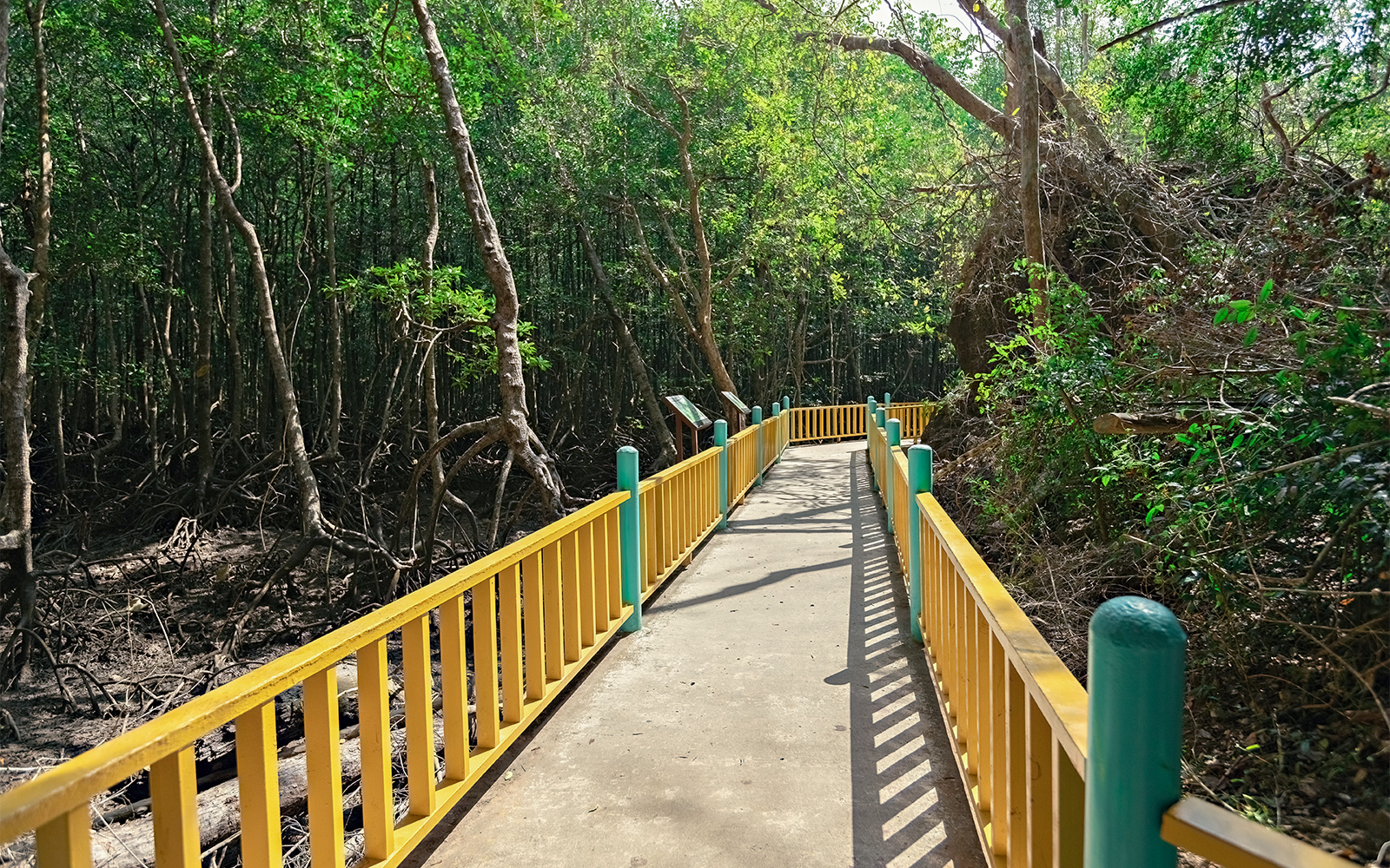 langkawi-skytrail-hike-to-the-top-of-the-world